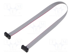 Ribbon cable with IDC connectors; Tape ph: 0.64mm; 220.98mm