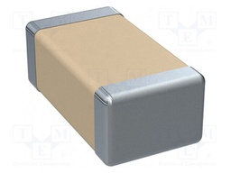 Capacitor: ceramic