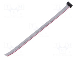 Ribbon cable with IDC connectors; Tape ph: 0.64mm; 152.4mm