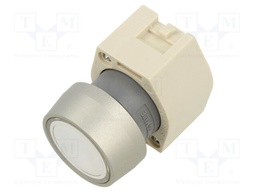 Switch: push-button; Stabl.pos: 1; 22mm; transparent; Illumin: none