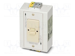 Socket, connection method: Screw connection, color: ivory, n