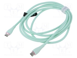Cable; USB 2.0; USB C plug,both sides; nickel plated; 2m; green