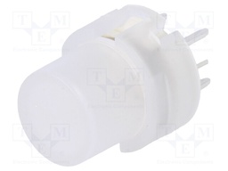 Switch: keypad; Pos: 2; SPST-NO; 0.01A/35VDC; colourless; green