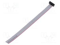 Ribbon cable with IDC connectors; Tape ph: 0.64mm; 127mm