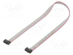 Ribbon cable with IDC connectors; Tape ph: 0.64mm; 254mm