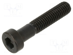 Screw; M5x25; DIN: 6912; Head: cheese head; imbus; steel; HEX 4mm