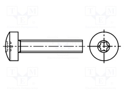 Screw; M5x8; Head: cheese head; Torx®; steel; zinc; TX25