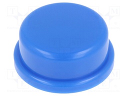 Cap; none; Man.series: TS 2x; Body: blue