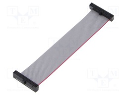 Ribbon cable with IDC connectors; Tape ph: 0.64mm; 88.9mm