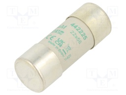 Fuse: fuse; aM; 25A; 690VAC; ceramic,cylindrical,industrial