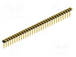 Connector: pin strips; pin header; male; PIN: 31; 2.54mm; THT; 1x31