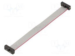 Ribbon cable with IDC connectors; Tape ph: 0.64mm; 101.6mm