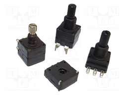 PC16 SH 10IP061AI 2K5