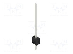 Connector: pin strips; pin header; male; PIN: 1; 2.54mm; THT; 1x1