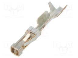 SHORT POINT RECP CONT LP