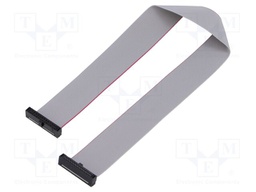 Ribbon cable with IDC connectors; Tape ph: 0.64mm; 254mm