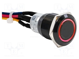 Switch: vandal resistant; SPDT; 2A/24VDC; IP67; ON-ON; RGB; Ø19mm