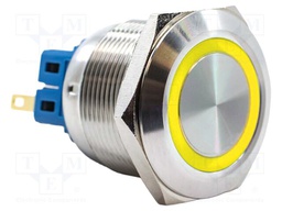 Switch: vandal resistant; SPST-NO + SPST-NC; 2A/48VDC; IP65; 24V