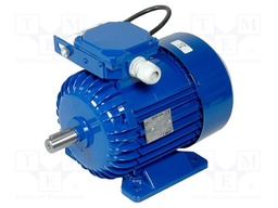 Motor: AC; 1-phase; 370W; 230VAC; 1350rpm; 2.62Nm; 8.3kg; IP54; 3A