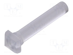 Fiber for LED; 5.8x5.8mm; L: 24.25mm; square; Front: flat; straight