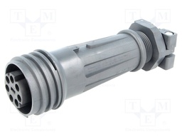 Connector: circular; plug; female; PIN: 7; EXPlora; Contacts: brass