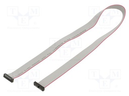 Ribbon cable with IDC connectors; Tape ph: 0.64mm; 443.48mm