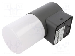 With motion detector; CORTA; IP44; Lamp: garden luminaire; 25W