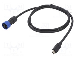 Cable; USB Buccaneer; USB C socket,USB C plug; IP68; 2m