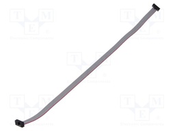 Ribbon cable with IDC connectors; Tape ph: 0.64mm; 241.3mm