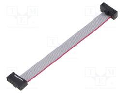 Ribbon cable with IDC connectors; Tape ph: 0.64mm; 76.2mm