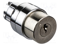 Switch: rotary with key; 22mm; silver; Illumin: none; IP66; Ø22mm