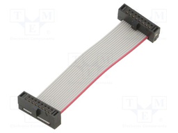 Ribbon cable with IDC connectors; Tape ph: 0.64mm; 50.8mm