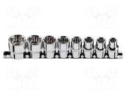 Socket; spline (12-angles); Chrom-vanadium steel; Mounting: 1/2"