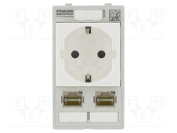 Panel interface; MODLINK MSDD