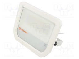 Lamp: LED flood light; 3000(typ)K; IP65; Body: white; 50W; Len: 1m