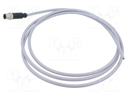 Connector: M12; plug; PIN: 5; male; A code-DeviceNet / CANopen; 2m