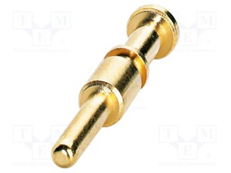 Contact; male; CuZn; gold-plated; crimped