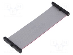Ribbon cable with IDC connectors; Tape ph: 0.64mm; 88.9mm