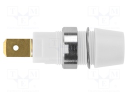 Socket; 4mm banana; 32A; 1kV; white; gold-plated; screw; insulated