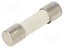 Fuse: fuse; medium time-lag; 8A; 250VAC; ceramic,cylindrical; FSM