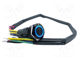 Switch: vandal resistant; DPDT; 3A/250VAC; IP67; ON-ON; blue; 24V