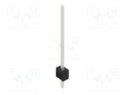 Connector: pin strips; pin header; male; PIN: 1; 2.54mm; THT; 1x1