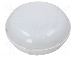 Lamp: LED lighting fixture; PANDA LED; polycarbonate; 4000(typ)K