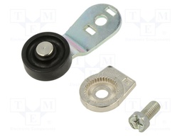 Driving head; lever R 40mm, plastic roller Ø20mm; FC/FD/FL/FP