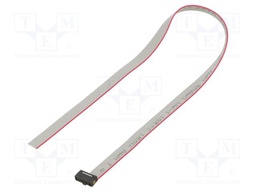 Ribbon cable with IDC connectors; Tape ph: 0.64mm; 300.23mm