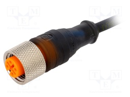 Plug; M12; PIN: 3; female; A code-DeviceNet / CANopen; 2m; straight