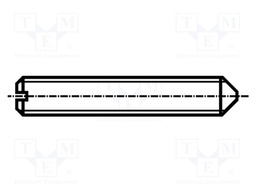 Screw; M5x8; DIN: 553; Head: without head; slotted; 0,8mm