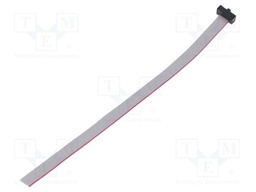 Ribbon cable with IDC connectors; Tape ph: 0.64mm; 152.4mm