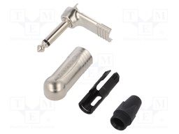 "R/A 1/4"" 2POLE PLUG"