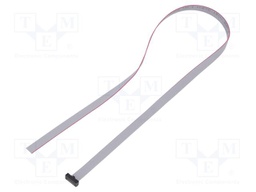 Ribbon cable with IDC connectors; Tape ph: 0.64mm; 508mm